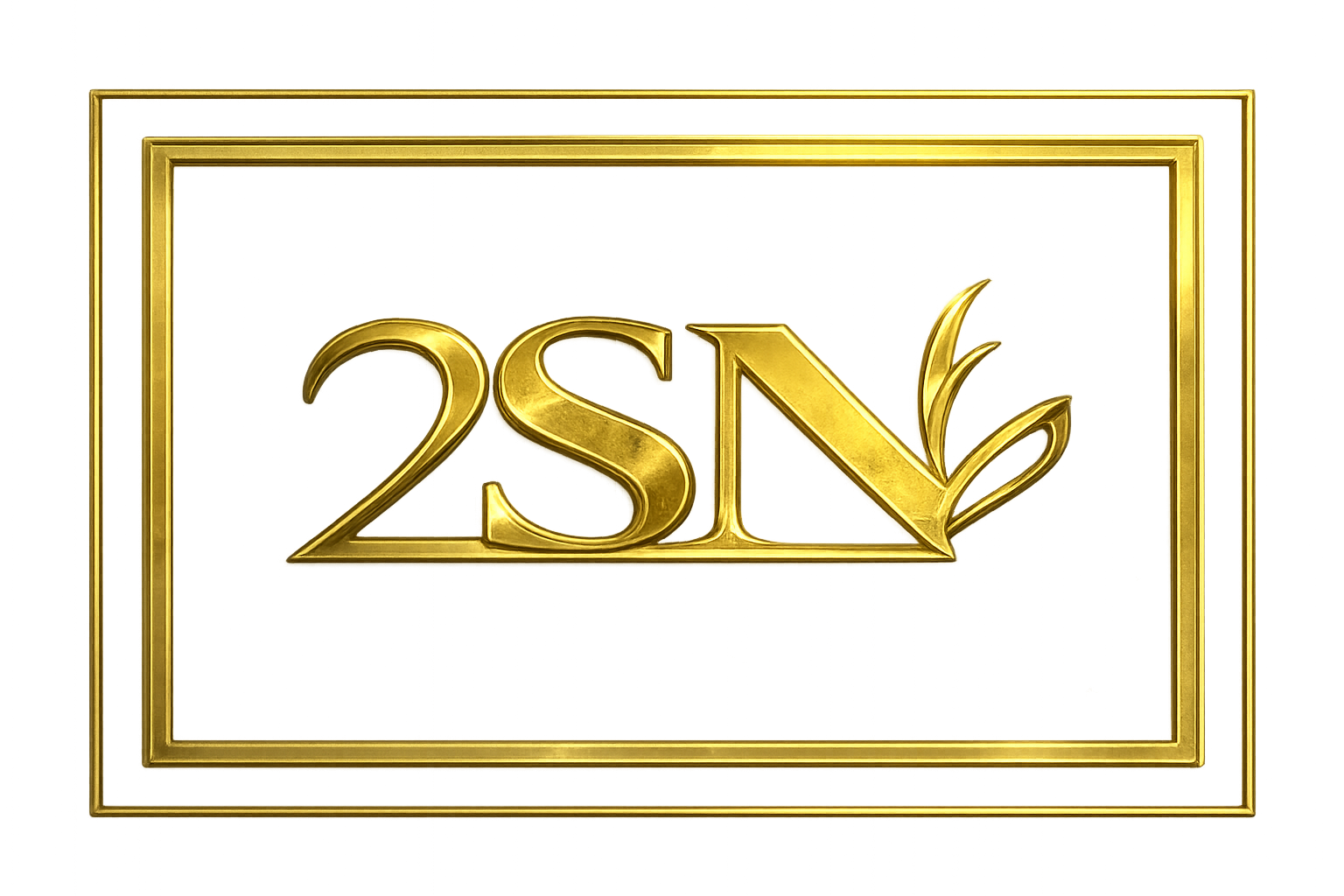 2SN Trading
